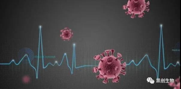 喜訊：凱創(chuàng)生物多款新冠抗原試劑均已獲CE準(zhǔn)入和出口白名單！